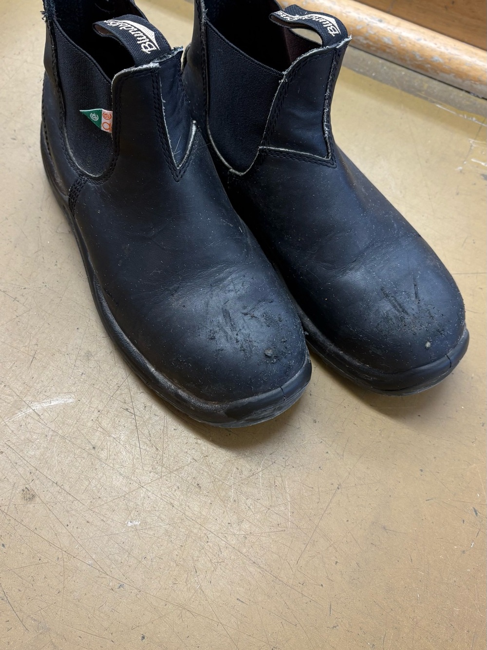 Blundstone Black - steel toe. Scuffed from dirt bike trip but otherwise rare use